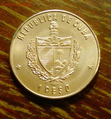 КУБА - КРОКОДИЛЬЧИК до 25.12, 22.00 - Куба Крокодильчик.1