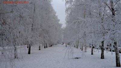 Самара на фото - P1030215.JPG