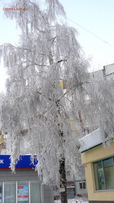Самара на фото - P1030238.JPG