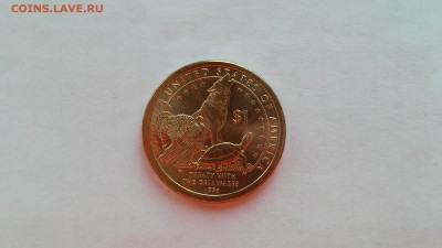 США, 1$ Индианка 2013, "P" до 24.12.2015 г. - 2013-P1