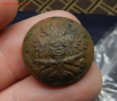 6 пуговиц РИА (ПушкиЮ Орлы на Якорях и Пушках) до 21.12.2015 - DSCN9684