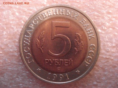 Красная книга - 1991 год, до 22.12.2015 г. - DSC04956.JPG