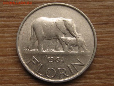 Малави 1 флорин 1964 слоны до 22.12.15 в 21.00 М - IMG_3984.JPG