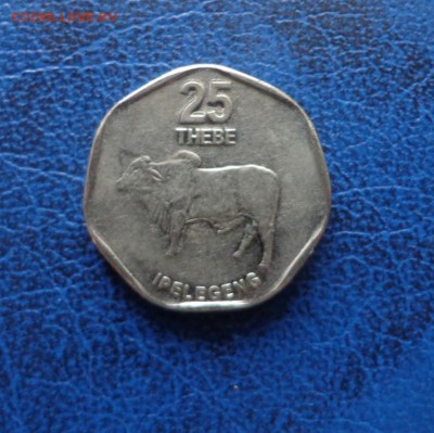 Ботсвана 25 тхебе 2009 до 22.12 - DSC01583.JPG