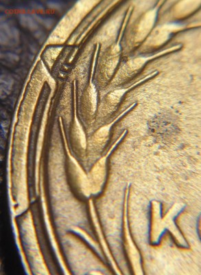 5к раскол - DSC03377.JPG