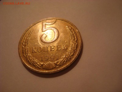 3 разных брака. - DSC09806 - копия.JPG