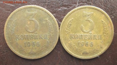 3-78 лысая,3-66 обе - 3-78 006