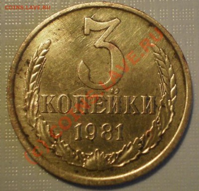 3коп1981г - P9055028.JPG