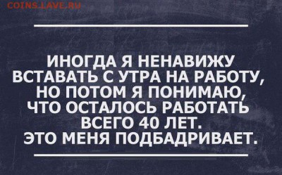 юмор - C0jtX8OIHMA
