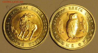 Красная книга 1991г. 2 шт. до 24.12.15 - IMG_2849.JPG
