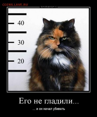 юмор - demotivatorium_ru_ego_ne_gladili_91840