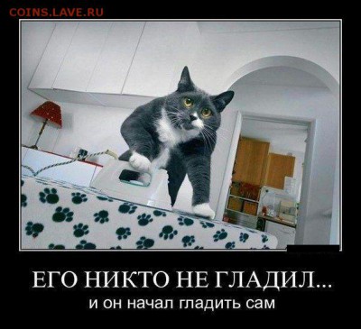 юмор - 19
