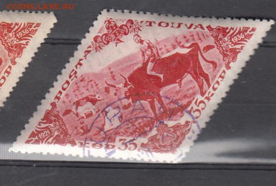 Тува 1936 корова 1м 35к - 6