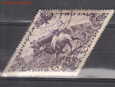 Тува 1936 верблюд паровоз - 7