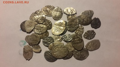 35 серебряных чешуек до 27.12.15 - 20151223_164746