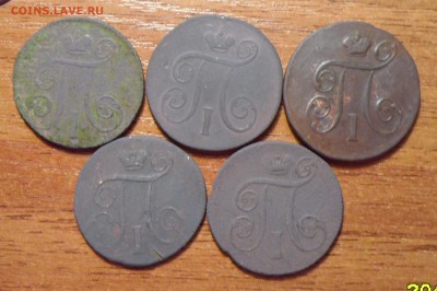 Копейки Павла 1. 5 штук. до 28.12.2015г. - 019.JPG