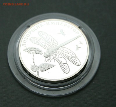 2 рубля. Дозорщик-император 29.12 в 22-30 - стрекоза