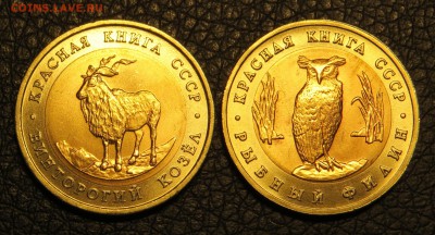 Красная книга 1991г. 2 шт до 28.12.15 - IMG_2858.JPG