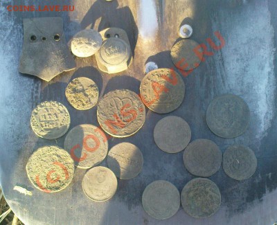 Мой сезон 2010 - Изображение 731