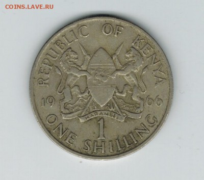 Кения 1 шиллинг 1966 до 28.12.15   22-00 - 1 3