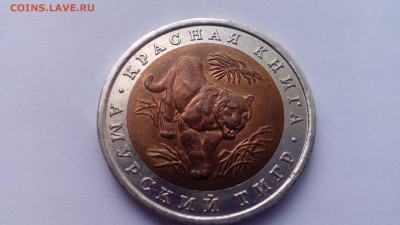 Красная книга 10 рублей 1992 Тигр до 28.12.2015 в 22.30 - IMG_20151225_145406