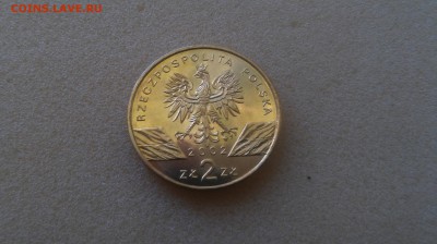2 зл. Польша - Болотная черепаха до 27.12.2015!!! - 20150826_110615
