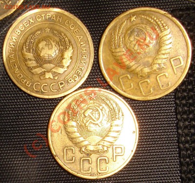 Куплю неспешно в блеске советы - DSC07278.JPG