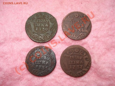 Полушки 1730,1734,1735,1737   до 28.09 -- до 22.00 МСК - DSC05454.JPG