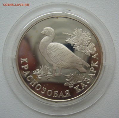 1 РУБЛЬ 1994 г. КРАСНОЗОБАЯ КАЗАРКА до 29.12 - P1330665.JPG