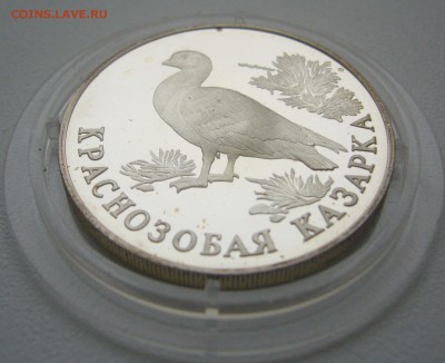 1 РУБЛЬ 1994 г. КРАСНОЗОБАЯ КАЗАРКА до 29.12 - P1330666.JPG