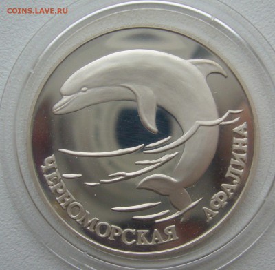 1 РУБЛЬ 1995 Черноморская афалина до 29.12-22.00.00 - P1330669.JPG