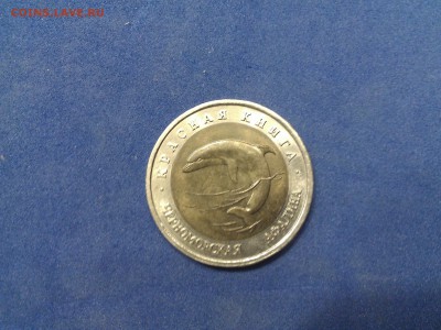 Красная книга 1993 г. Черноморская афалина -БЛИЦ- до 28.12. - аф1