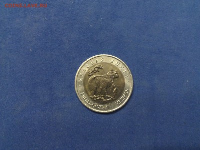 Красная книга 1993 г. Гималайский медведь -БЛИЦ- до 28.12. - гим мед1