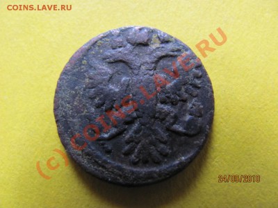 Полушка 1735 года.Вопрос по аверсу. - IMG_2655