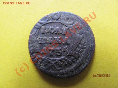 Полушка 1735 года.Вопрос по аверсу. - IMG_2654