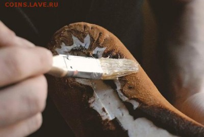 У Н Т Ы  собственное производство - obuv-0019