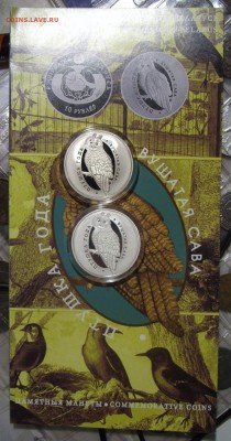 Новинка!Беларусь 1рВУШАТАЯ САВА(Ушастая сова)22.00-02.01 - Буклет к сове