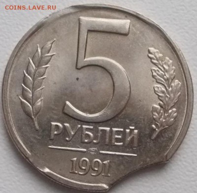 5р.1991 выкусы(2шт.)до 30.12.15 21ч.00мини мск - DSCN4452.JPG