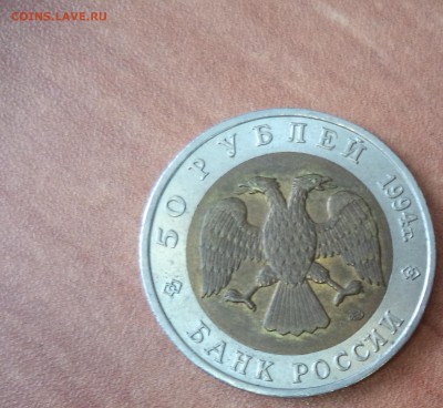 КК Слепыш до 29.12.15г в 22.00 по МСК - DSC01694.JPG