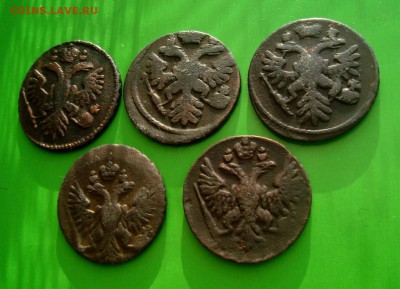 Лот красивой денги 1735-37-38-50-51 гг. до 30.12.15 г. - DSC07170.JPG