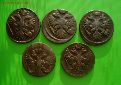 Лот красивой денги 1735-37-38-50-51 гг. до 30.12.15 г. - DSC07169.JPG