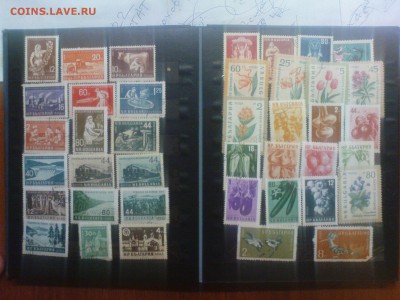 4 альбома марок на оценку - DSC01004.JPG