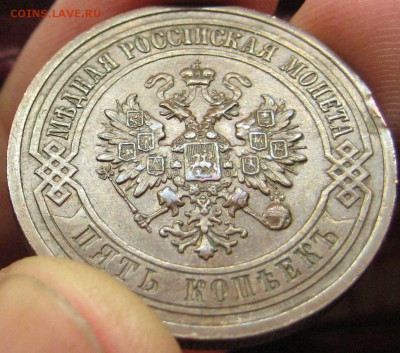 5 копеек 1911 (медь) на оценку. - IMG_0437.JPG