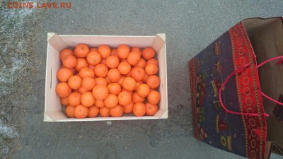 Новогодний конкурс! от tigr74 - VTJTSnQu8ko