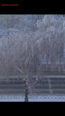 ГРАН-ПРИ: Самара-Ставрополь-Самара - image