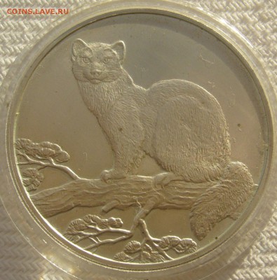 3 РУБЛЯ 1995 г. СОБОЛЬ до 05.01-22.00.00 - P1330716.JPG