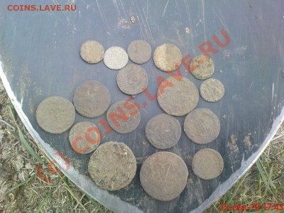 Мой сезон 2010 - Изображение 739