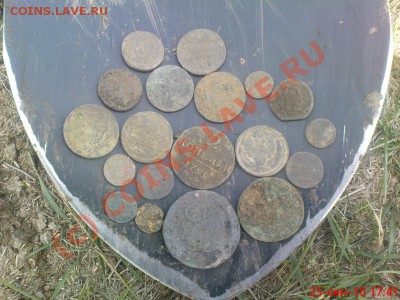 Мой сезон 2010 - Изображение 738