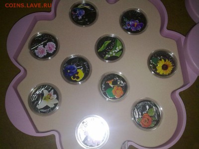 Беларусь, полная серия "Красота цветов" 8 монет 09.01 22.00 - 5014283518_4