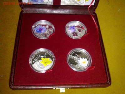 Беларусь, полная серия "Цветы Беларуси" 4 монеты 09.01 22.00 - 5014283480_3 (1)